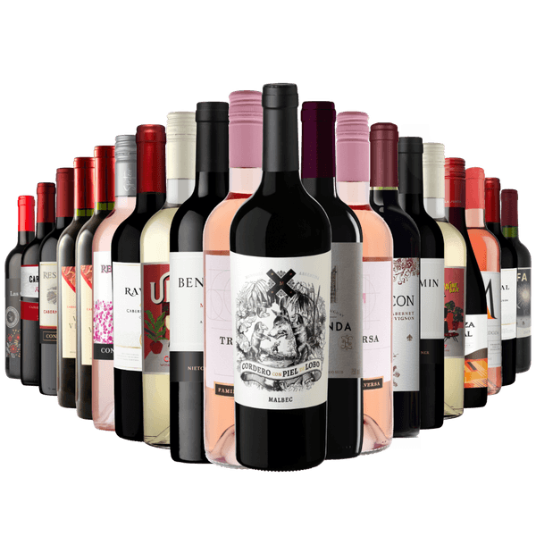 Kit Adega Cheia 20 Vinhos